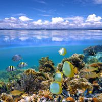 Marine Cloud Brightening over coral reefs