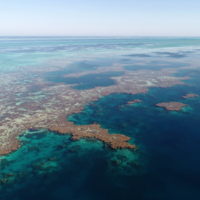 Coral Reefs of Western Australia